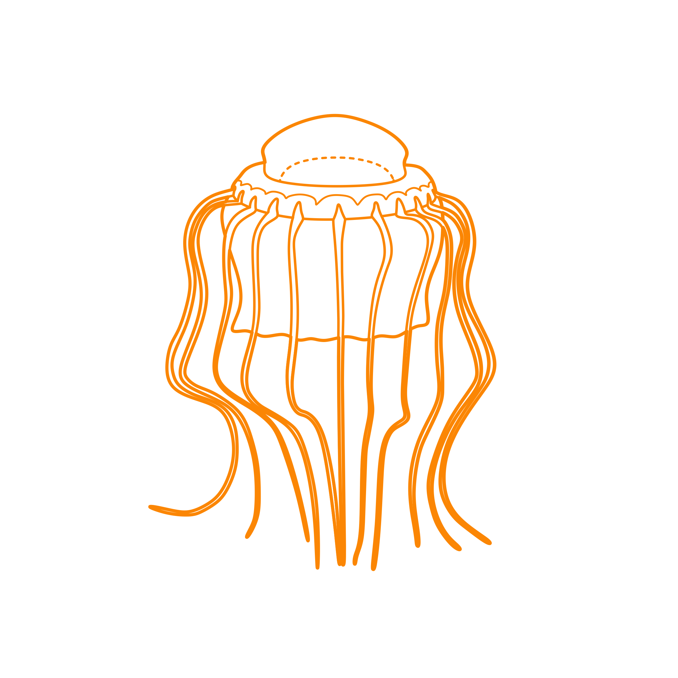 Animals Jellyfish Atolla Jellyfish Sketch Svg Vector Free Vectors